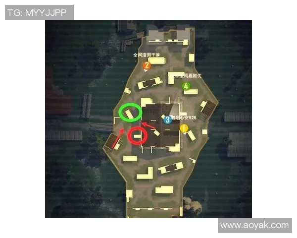 和平精英战术解析：深入探讨LNG战队的进攻策略与团队配合