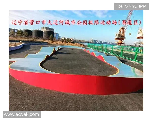 张伟独家分享滑板心得与技巧助你快速提升滑板水平 张伟独家分享滑板心得与技巧助你快速提升滑板水平