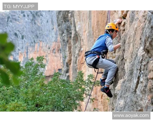 攀岩精神与团队默契交融上海攀岩队的协作之道探秘