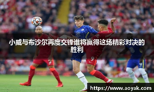 bsports必一体育